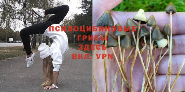 jwh Армянск