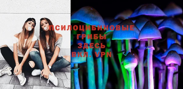 мдпв Арсеньев