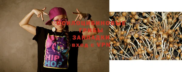 мдпв Арсеньев
