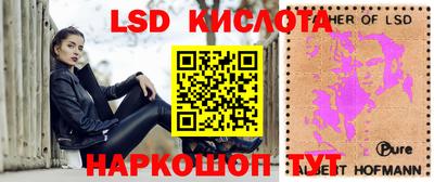 гашик Гусев