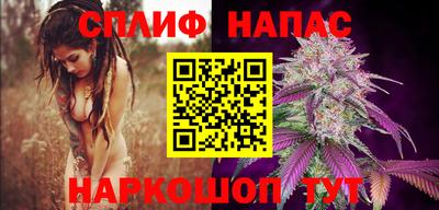 дживик Майкоп