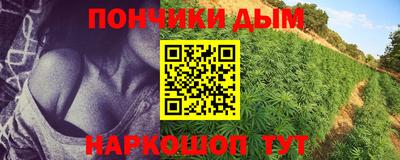 гашик Гусев