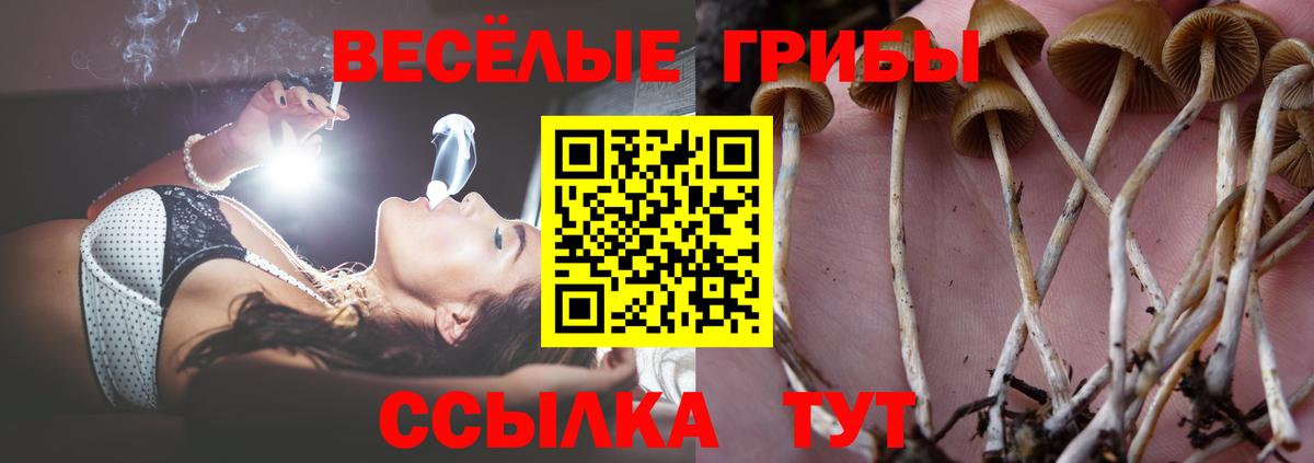 Псилоцибиновые грибы мухоморы  Вход с VPN  Псилоцибиновые грибы мицелий  Кунгур 